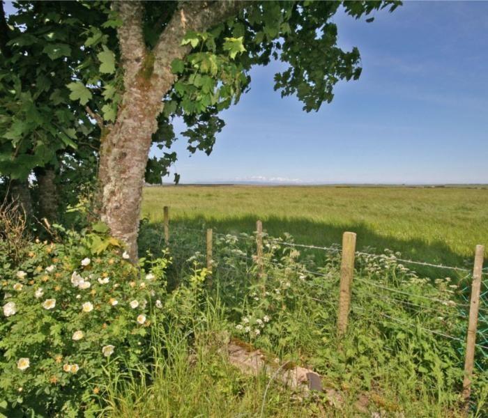 Rowan Cottage Castletown (Highland) Exterior foto